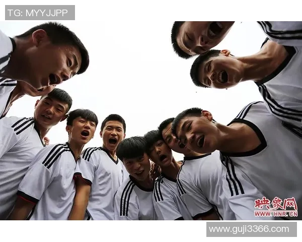 宝丰足球热潮席卷全城青少年踢球热情高涨助力体育发展